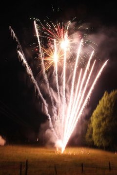 t_IMG_5387.jpg